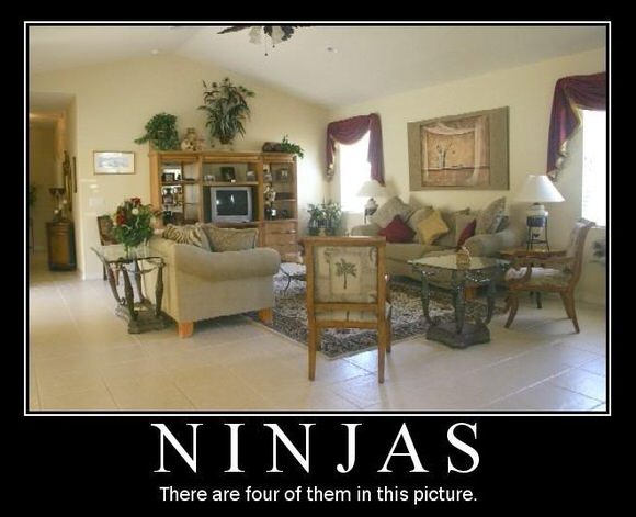 Ninjas - There are 4 of them in this room